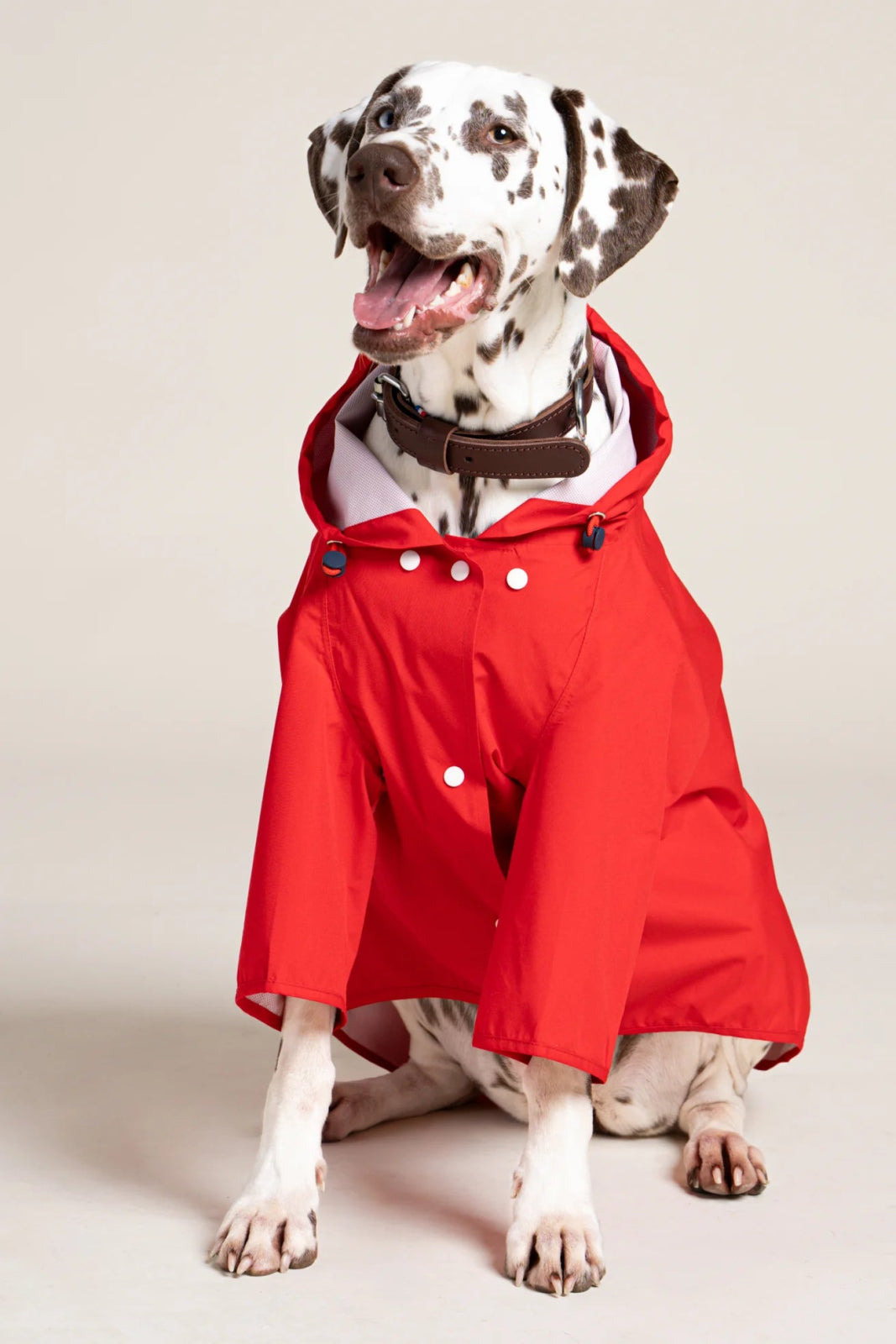 flotte-boulogne-imperm-able-pour-chien-l-ger image 3