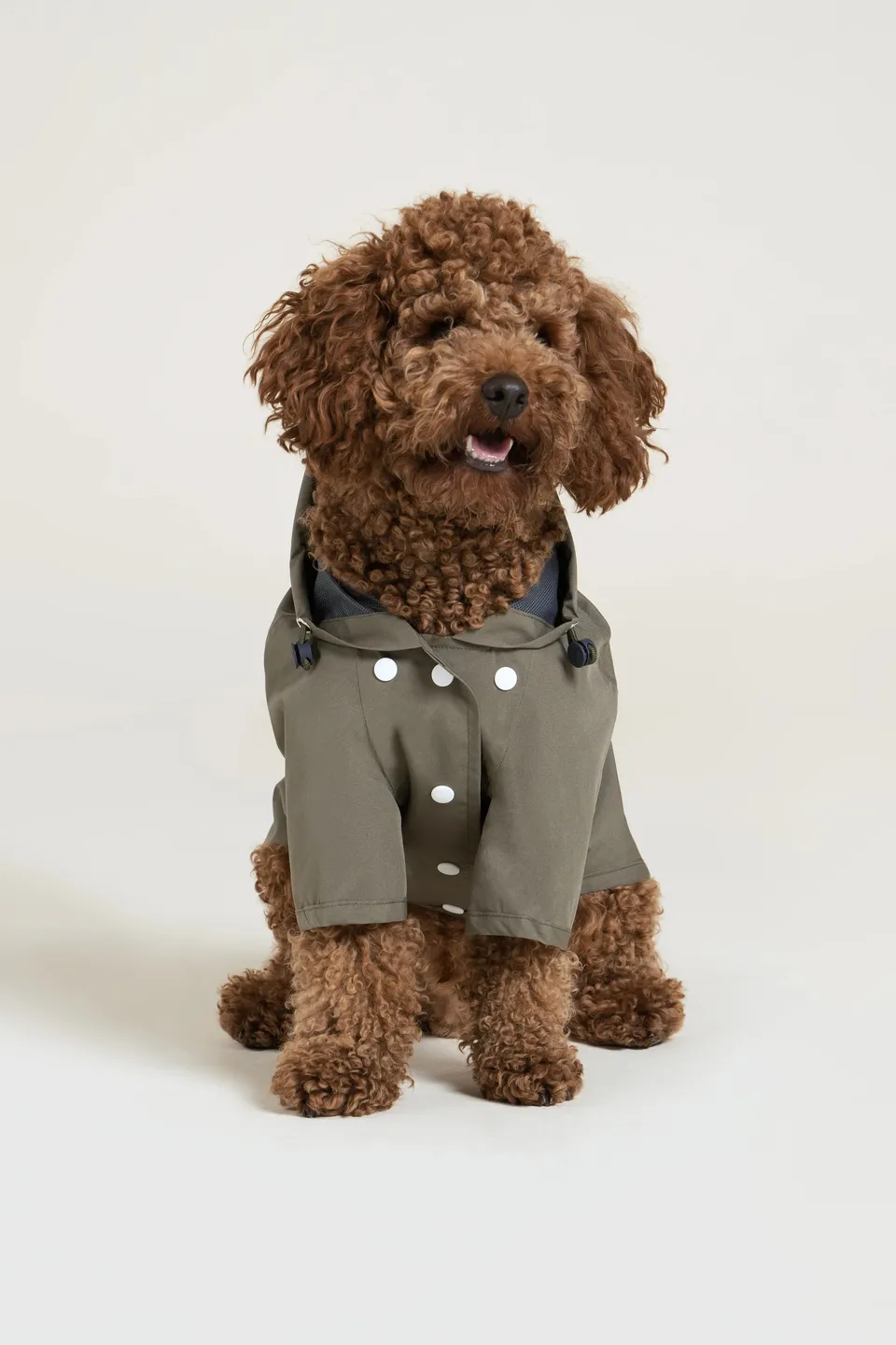 flotte-boulogne-imperm-able-pour-chien-l-ger image 1