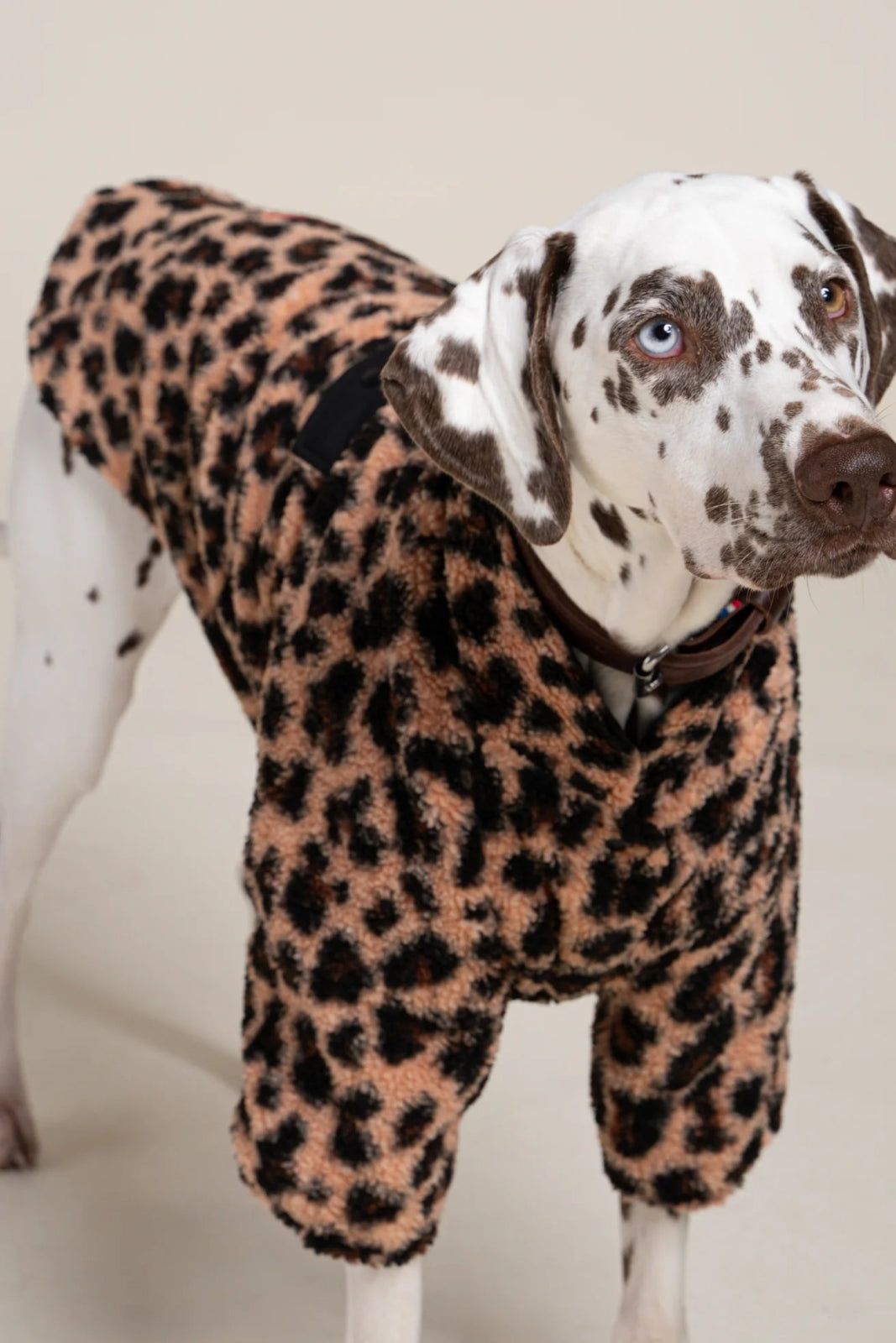 flotte-charlot-gilet-polaire-sherpa-pour-chien-ultra-chaud image 8