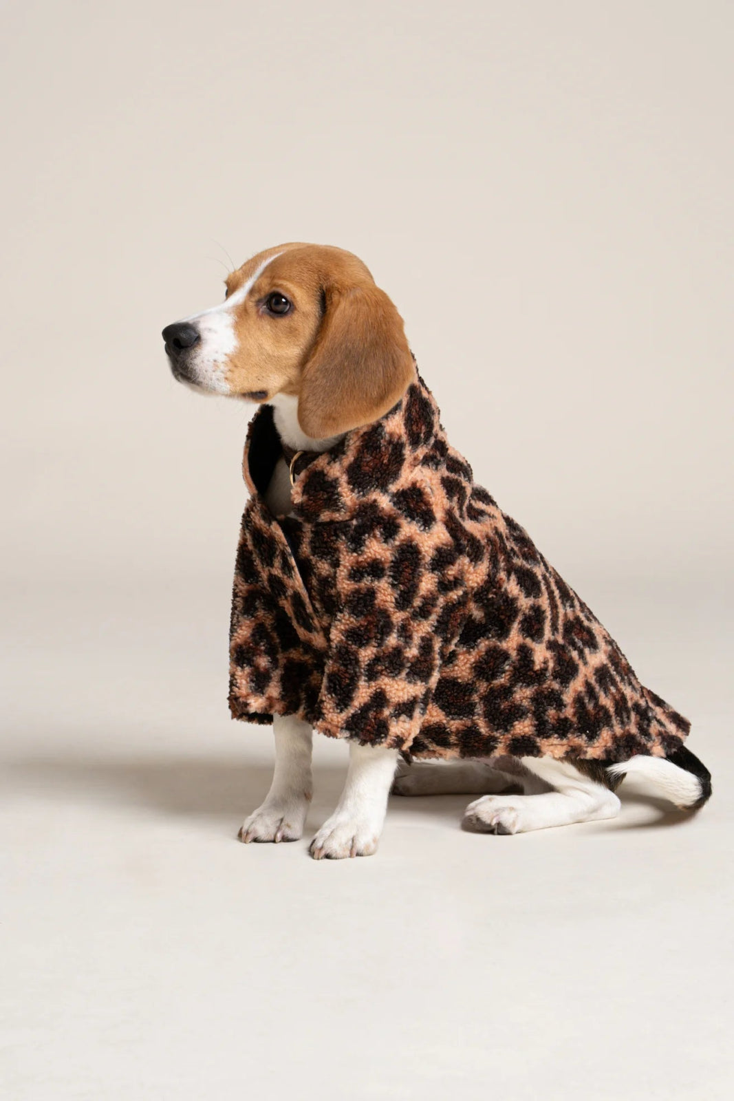 flotte-charlot-gilet-polaire-sherpa-pour-chien-ultra-chaud image 4