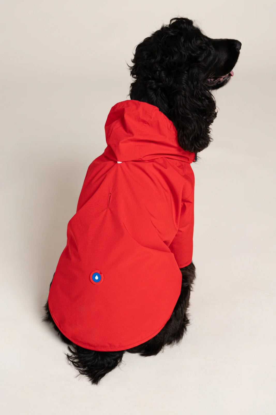 flotte-boulogne-imperm-able-pour-chien-l-ger image 5