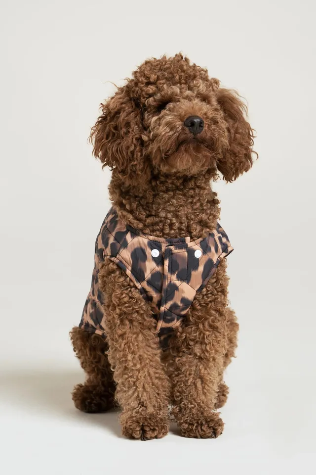flotte-vincennes-doudoune-pour-chien-en-polyester-recycl image 1
