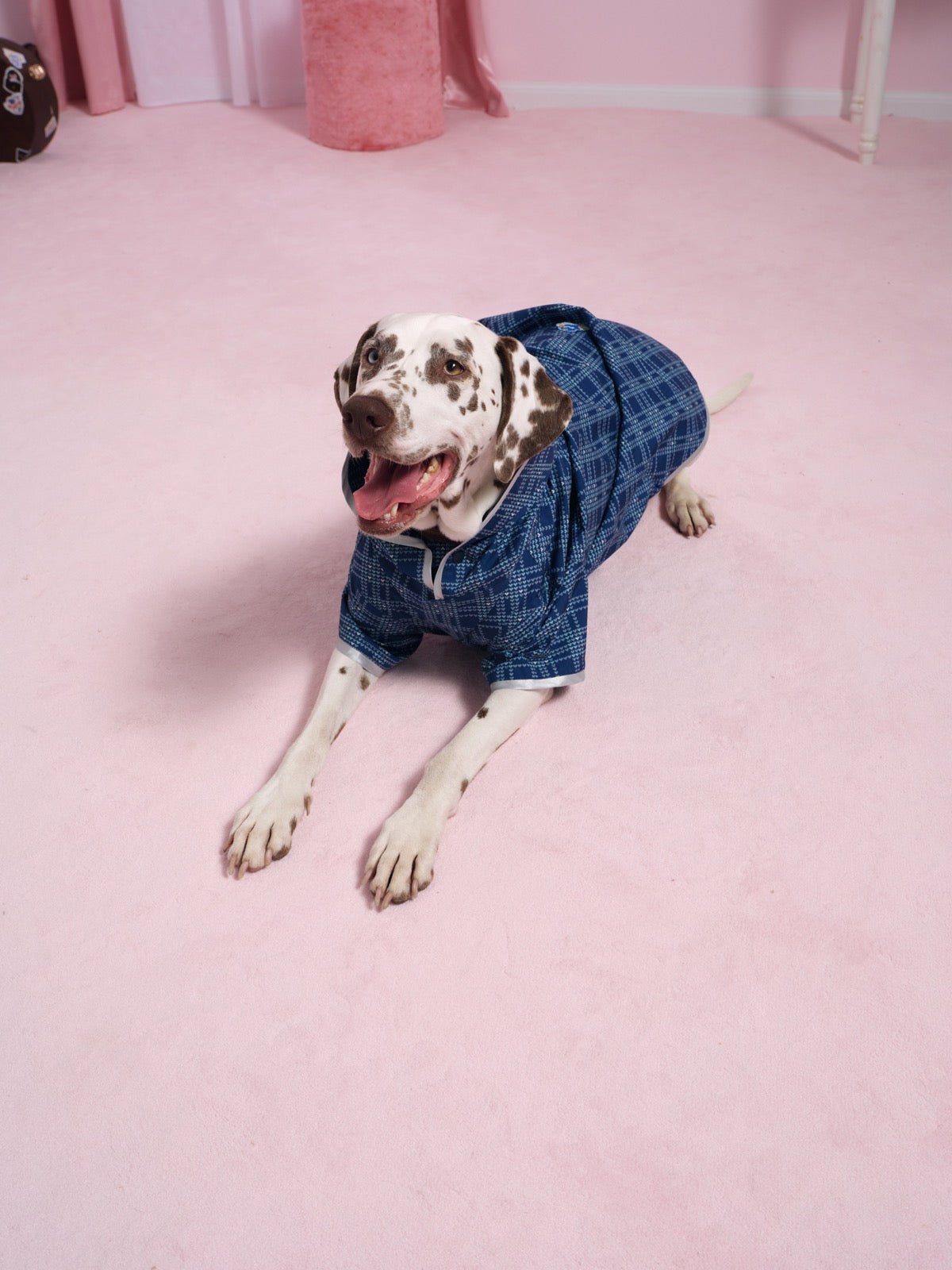 flotte-boulogne-imperm-able-pour-chien-bisounours-bleu-indigo-2 image 5