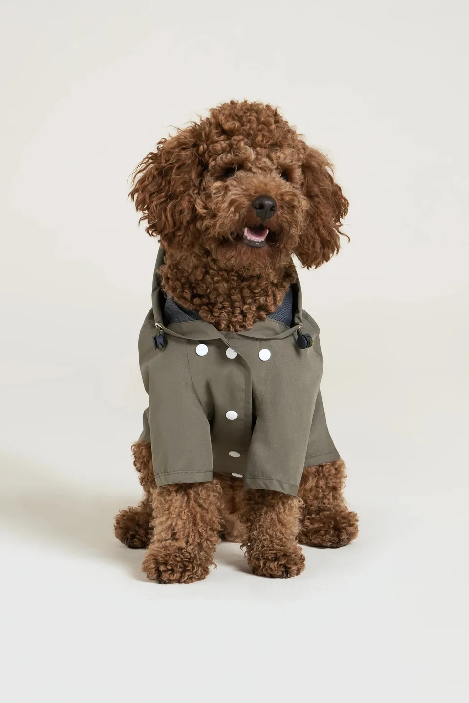 flotte-boulogne-imperm-able-pour-chien-l-ger-capuche image 1
