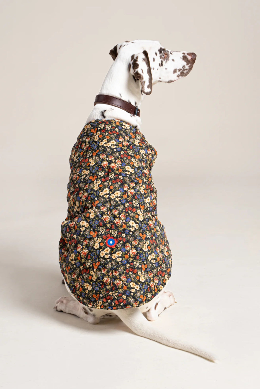 flotte-vincennes-doudoune-pour-chien-matelass-e image 5