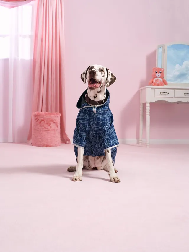 flotte-boulogne-imperm-able-pour-chien-bisounours-bleu-indigo image 1