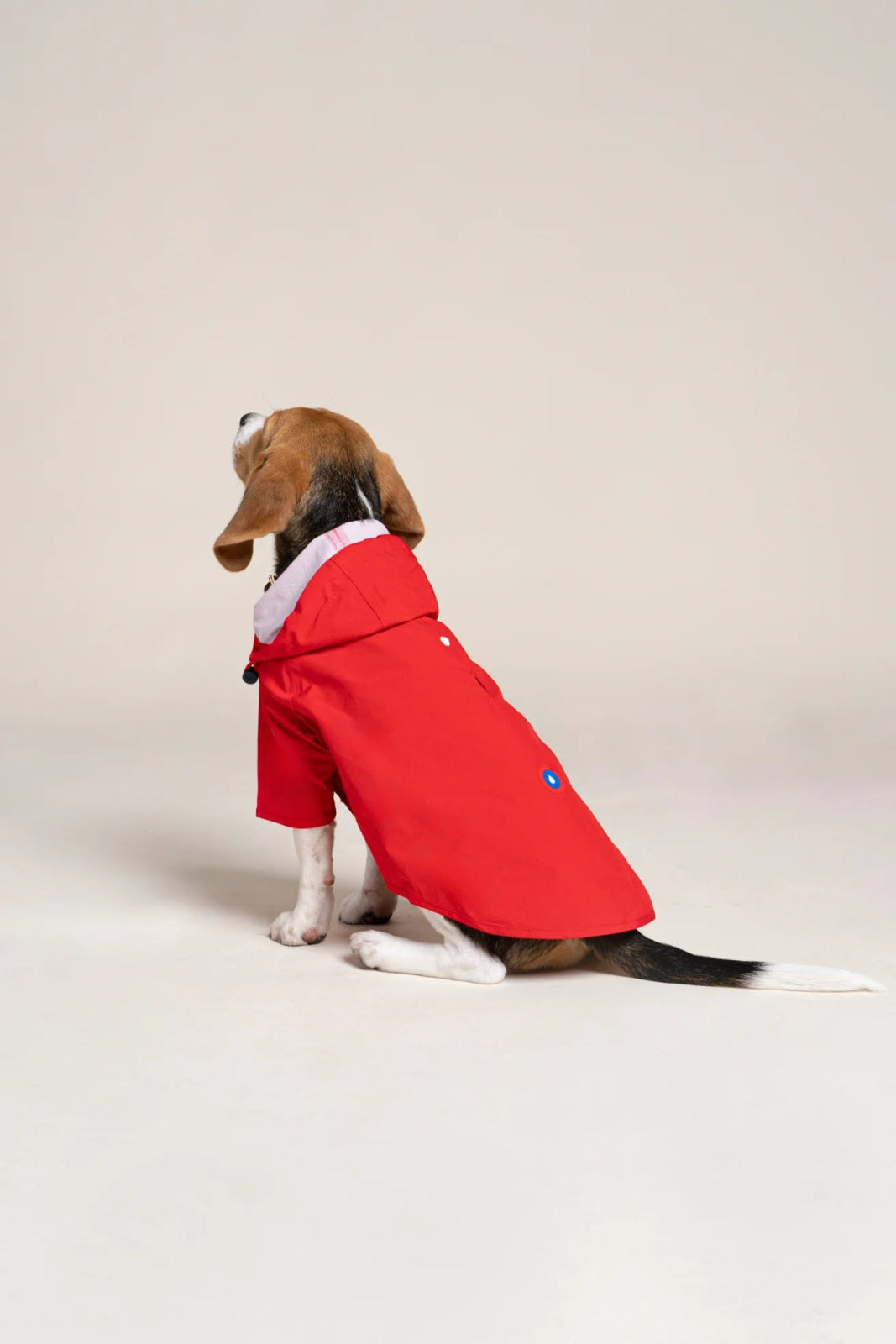 flotte-boulogne-imperm-able-pour-chien-l-ger image 7
